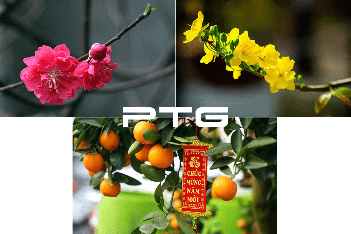 Tết Ba Miền – Canh Tý 2020